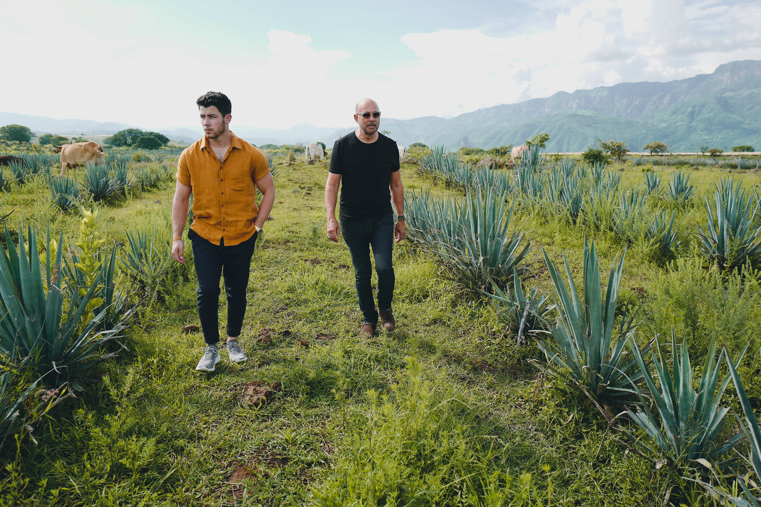 Nick Jonas and John Varvatos walking throught an agave field.