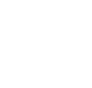 Villa One Tequila logo in white.